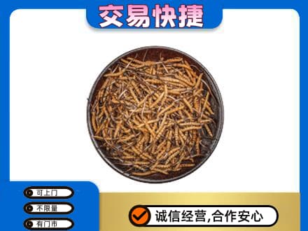 铜川回收散虫草